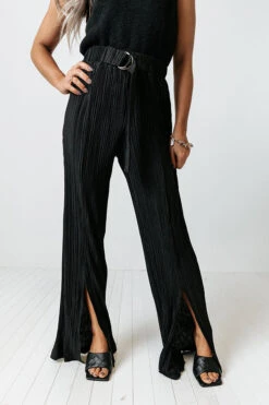 The Saleen Pleated Pants In Black