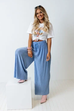 Summer In Malibu Pleated Pants In Sky Blue