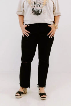 The Meena High Waist Distressed Jean Curves -Chic Essence 2302028234000 2023021614542400 44908b04the meena high waist distressed jean curves